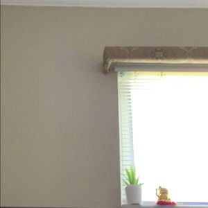 Meet your Posher, Evan thomas